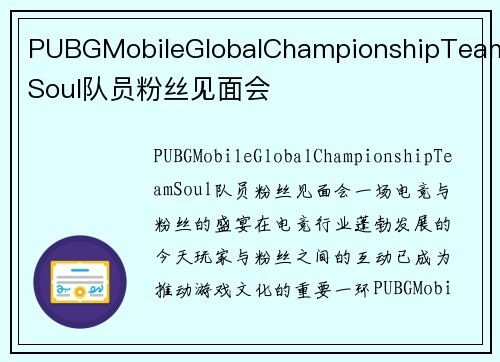 PUBGMobileGlobalChampionshipTeamSoul队员粉丝见面会