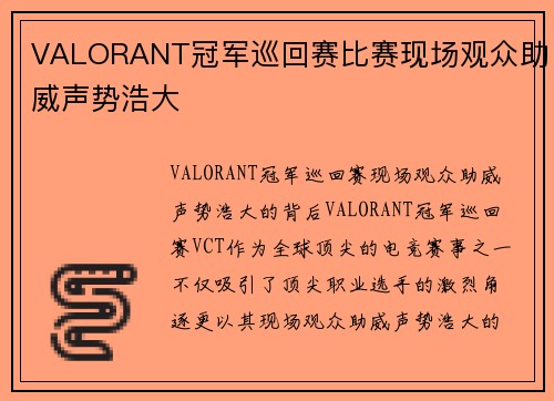 VALORANT冠军巡回赛比赛现场观众助威声势浩大