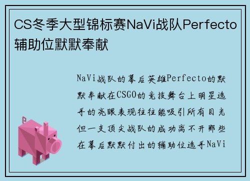 CS冬季大型锦标赛NaVi战队Perfecto辅助位默默奉献
