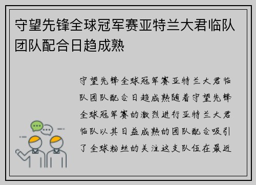 守望先锋全球冠军赛亚特兰大君临队团队配合日趋成熟